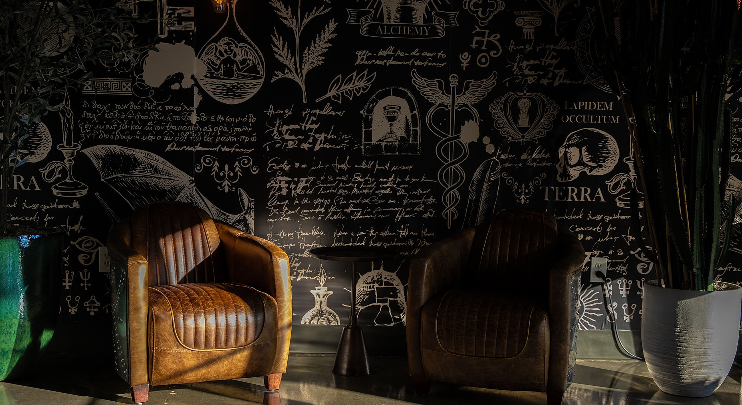 Cozy chairs against a dark, artistic wall.